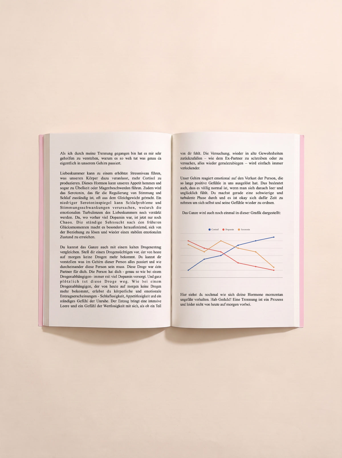 Heal Yourself Journal - break-up edition