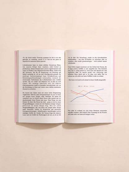 Heal Yourself Journal - break-up edition